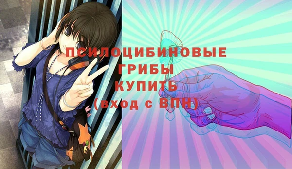 эйфоретик Аркадак
