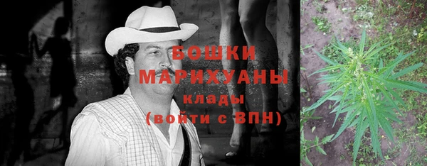 дмт Арсеньев