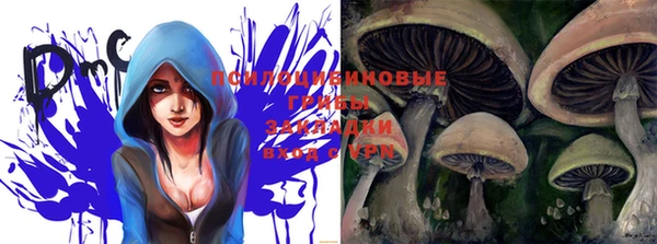 PSILOCYBIN Армянск
