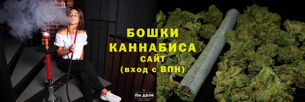 дмт Арсеньев
