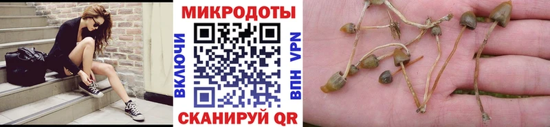 Псилоцибиновые грибы GOLDEN TEACHER кракен зеркало Макушино